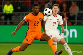 kaiyun-荷兰连胜立陶宛，继续保持不败战绩的简单介绍